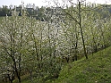 Primavera 2007_19